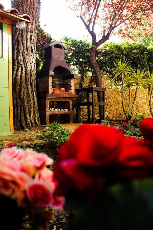 Bed and Breakfast La Casa Di Nonno Giulio Porto SantʼElpidio Exterior foto